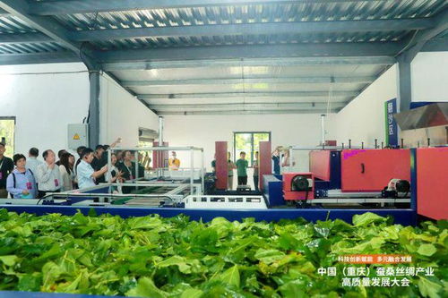 科技創新賦能，推動成渝地區蠶桑絲綢產業一體化發展